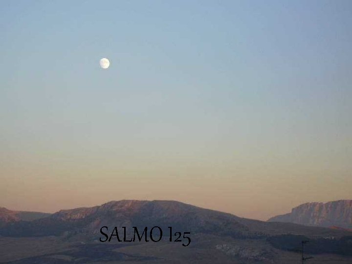 SALMO I 25 