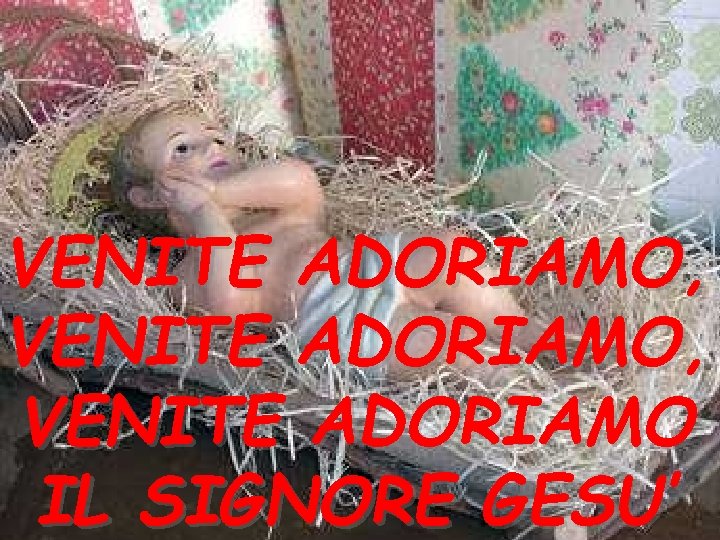 VENITE ADORIAMO, VENITE ADORIAMO IL SIGNORE GESU’ 