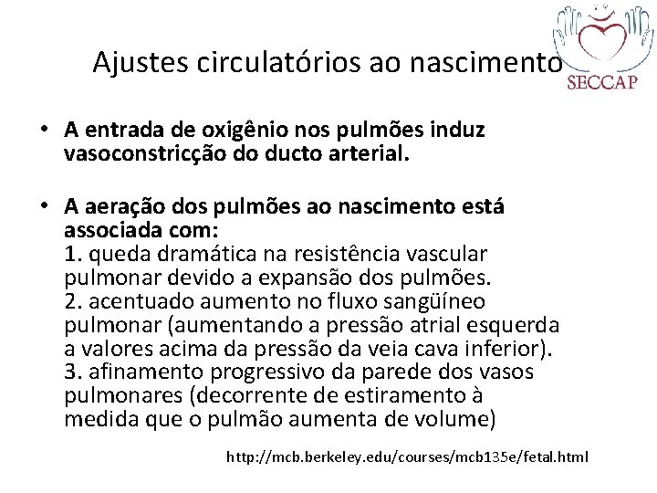 Ajustes circulatórios ao nascimento • A entrada de oxigênio nos pulmões induz vasoconstricção do