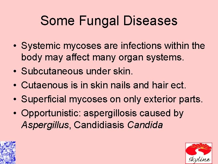 Some Fungal Diseases • Systemic mycoses are infections within the body may affect many Some Fungal Diseases • Systemic mycoses are infections within the body may affect many