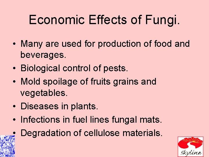 Economic Effects of Fungi. • Many are used for production of food and beverages. Economic Effects of Fungi. • Many are used for production of food and beverages.