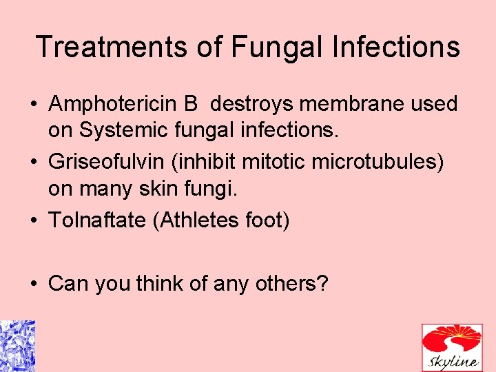 Treatments of Fungal Infections • Amphotericin B destroys membrane used on Systemic fungal infections. Treatments of Fungal Infections • Amphotericin B destroys membrane used on Systemic fungal infections.