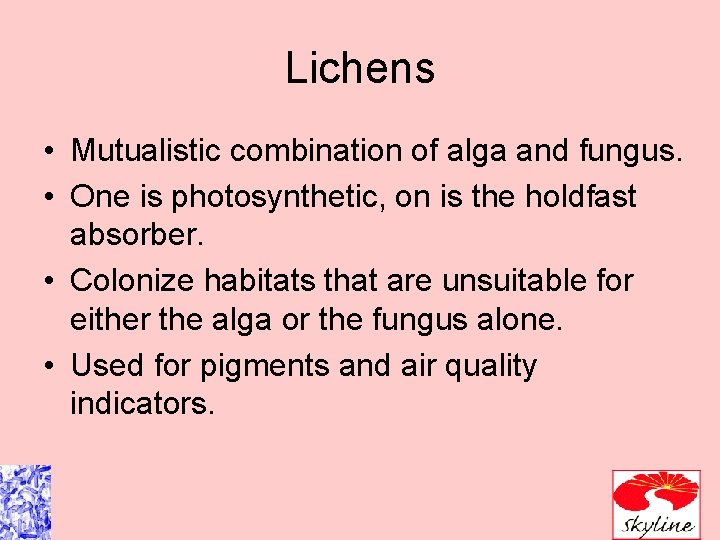 Lichens • Mutualistic combination of alga and fungus. • One is photosynthetic, on is Lichens • Mutualistic combination of alga and fungus. • One is photosynthetic, on is