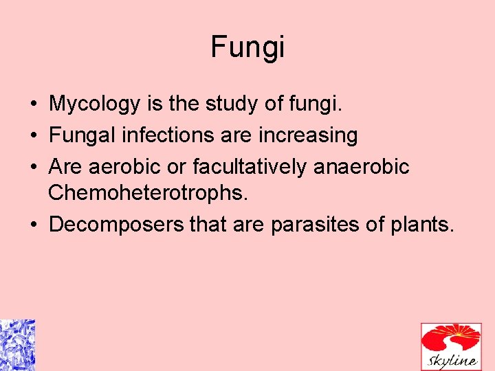 Fungi • Mycology is the study of fungi. • Fungal infections are increasing • Fungi • Mycology is the study of fungi. • Fungal infections are increasing •