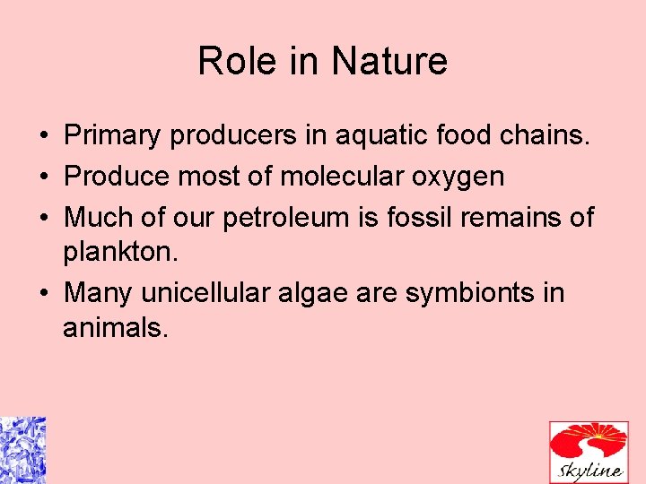 Role in Nature • Primary producers in aquatic food chains. • Produce most of Role in Nature • Primary producers in aquatic food chains. • Produce most of
