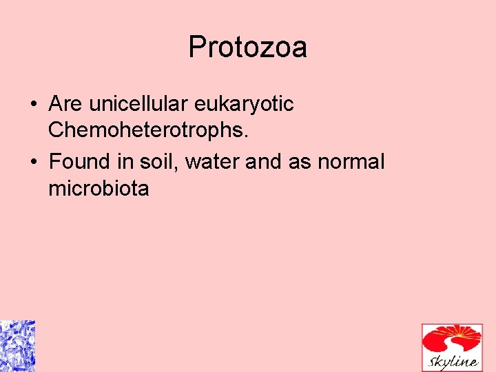 Protozoa • Are unicellular eukaryotic Chemoheterotrophs. • Found in soil, water and as normal Protozoa • Are unicellular eukaryotic Chemoheterotrophs. • Found in soil, water and as normal