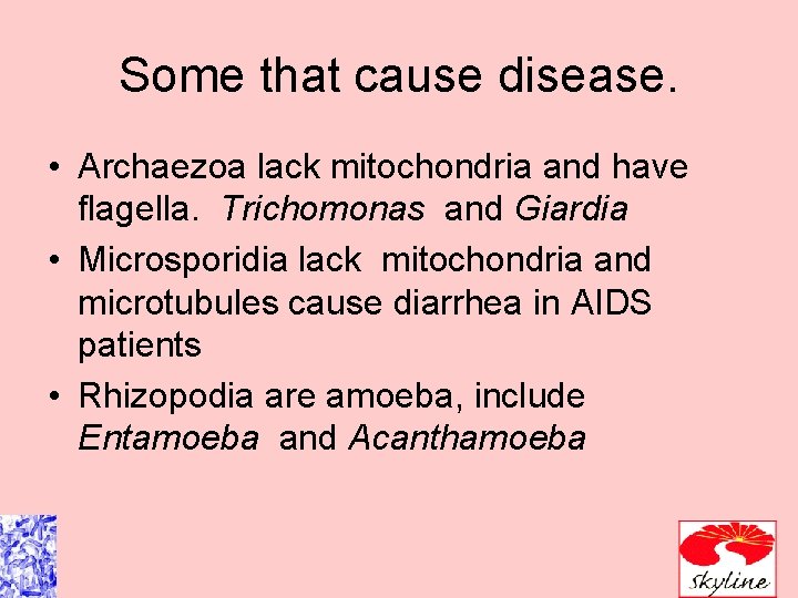 Some that cause disease. • Archaezoa lack mitochondria and have flagella. Trichomonas and Giardia Some that cause disease. • Archaezoa lack mitochondria and have flagella. Trichomonas and Giardia
