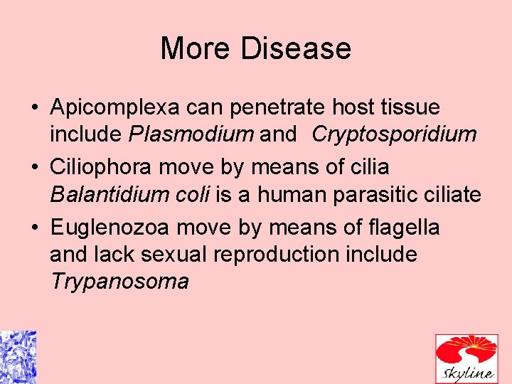 More Disease • Apicomplexa can penetrate host tissue include Plasmodium and Cryptosporidium • Ciliophora More Disease • Apicomplexa can penetrate host tissue include Plasmodium and Cryptosporidium • Ciliophora
