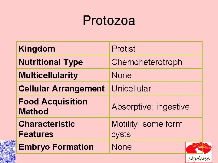 Protozoa Kingdom Protist Nutritional Type Chemoheterotroph Multicellularity None Cellular Arrangement Unicellular Food Acquisition Method Protozoa Kingdom Protist Nutritional Type Chemoheterotroph Multicellularity None Cellular Arrangement Unicellular Food Acquisition Method