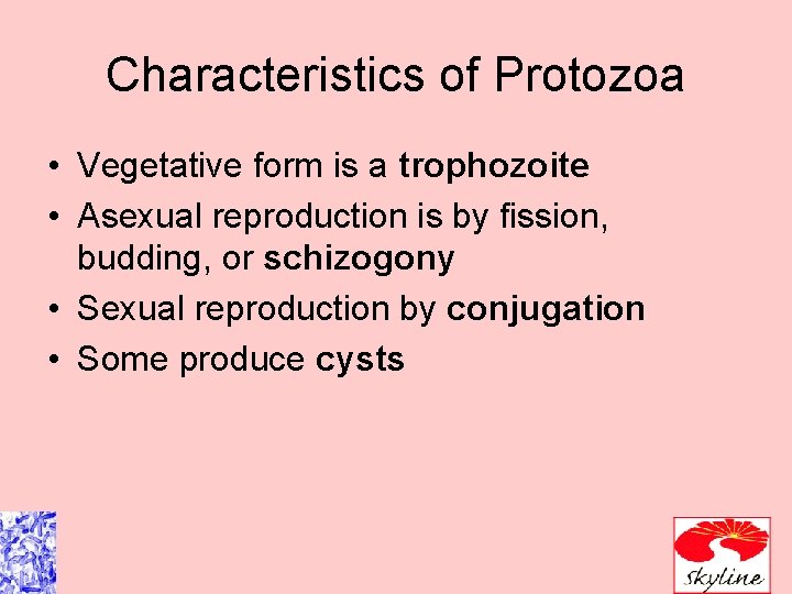 Characteristics of Protozoa • Vegetative form is a trophozoite • Asexual reproduction is by Characteristics of Protozoa • Vegetative form is a trophozoite • Asexual reproduction is by