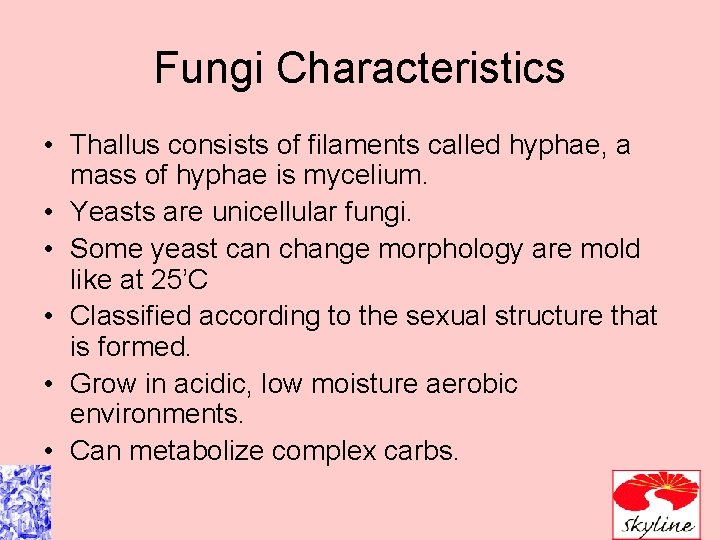 Fungi Characteristics • Thallus consists of filaments called hyphae, a mass of hyphae is Fungi Characteristics • Thallus consists of filaments called hyphae, a mass of hyphae is