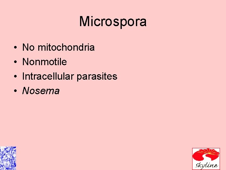 Microspora • • No mitochondria Nonmotile Intracellular parasites Nosema Microspora • • No mitochondria Nonmotile Intracellular parasites Nosema