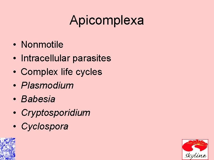 Apicomplexa • • Nonmotile Intracellular parasites Complex life cycles Plasmodium Babesia Cryptosporidium Cyclospora Apicomplexa • • Nonmotile Intracellular parasites Complex life cycles Plasmodium Babesia Cryptosporidium Cyclospora