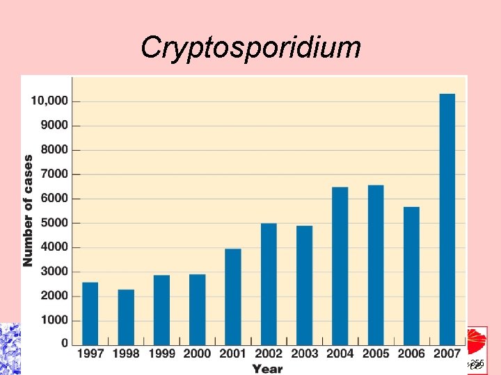 Cryptosporidium Clinical Focus, p. 355 Cryptosporidium Clinical Focus, p. 355