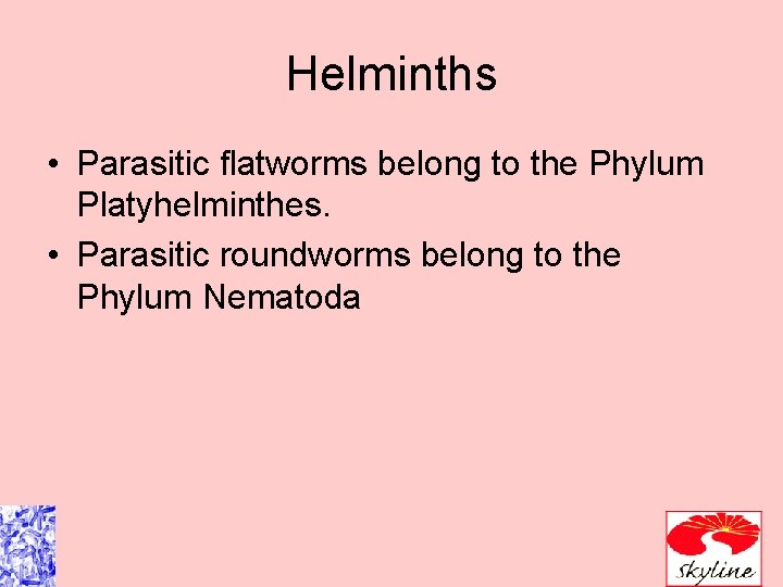 Helminths • Parasitic flatworms belong to the Phylum Platyhelminthes. • Parasitic roundworms belong to Helminths • Parasitic flatworms belong to the Phylum Platyhelminthes. • Parasitic roundworms belong to
