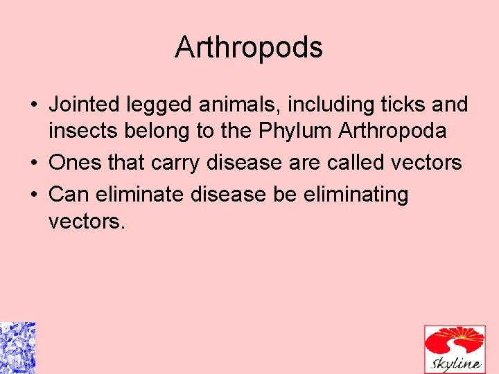 Arthropods • Jointed legged animals, including ticks and insects belong to the Phylum Arthropoda Arthropods • Jointed legged animals, including ticks and insects belong to the Phylum Arthropoda