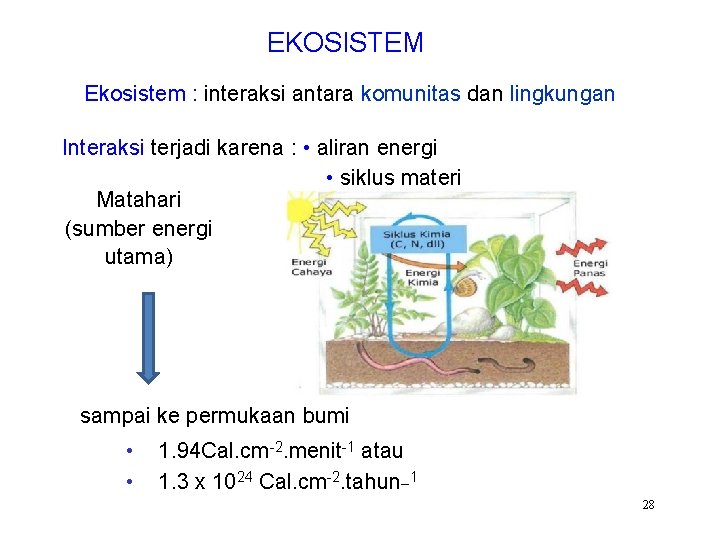 EKOSISTEM Ekosistem : interaksi antara komunitas dan lingkungan Interaksi terjadi karena : • aliran