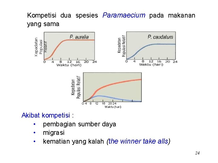 Kepadatan Populasi Relatif Kompetisi dua spesies Paramaecium pada makanan yang sama O 4 8