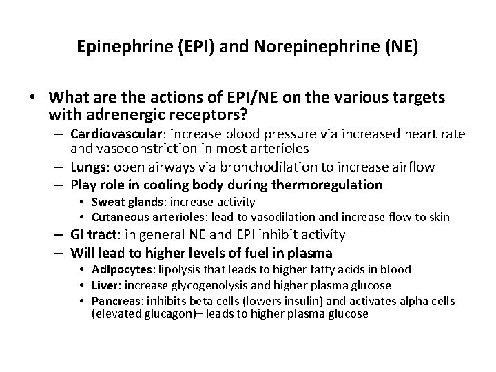 Epinephrine (EPI) and Norepinephrine (NE) • What are the actions of EPI/NE on the