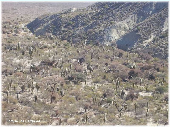 Parque Los Cardones 