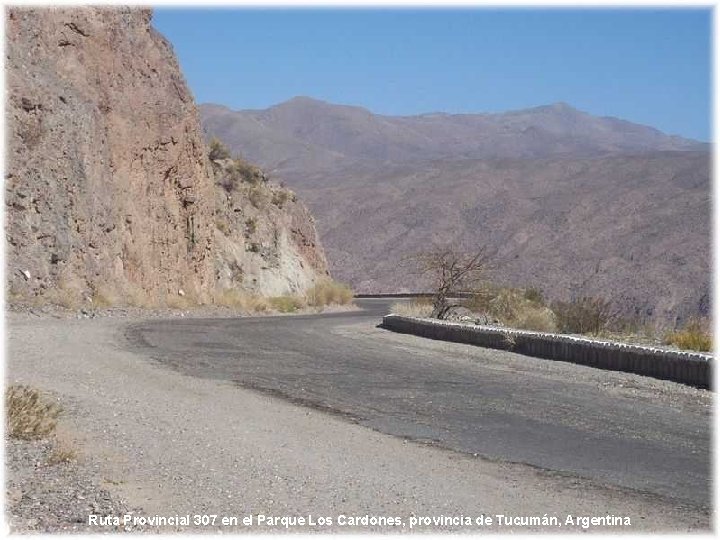 Ruta Provincial 307 en el Parque Los Cardones, provincia de Tucumán, Argentina 