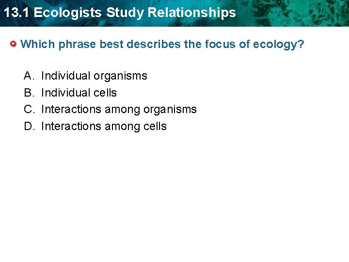 13. 1 Ecologists Study Relationships Which phrase best describes the focus of ecology? A.