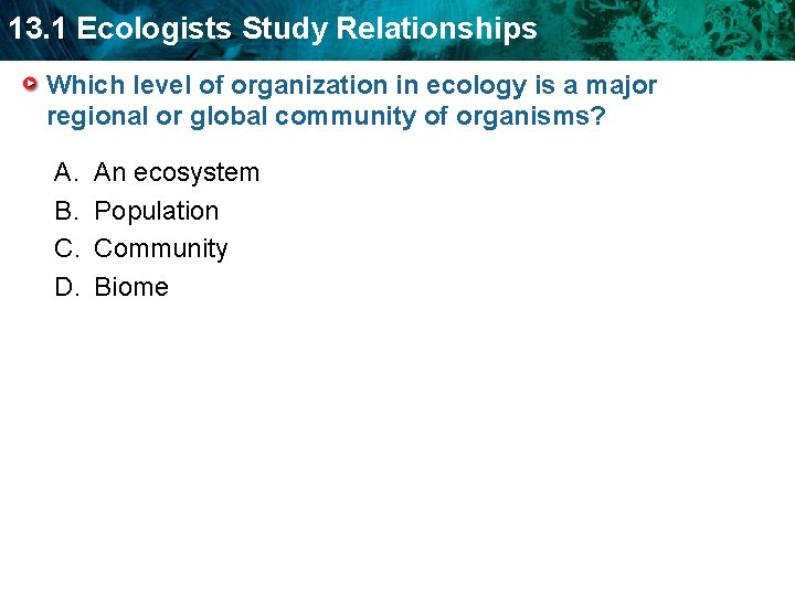 13. 1 Ecologists Study Relationships Which level of organization in ecology is a major