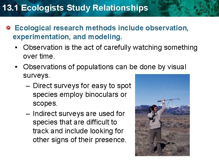 13. 1 Ecologists Study Relationships Ecological research methods include observation, experimentation, and modeling. •