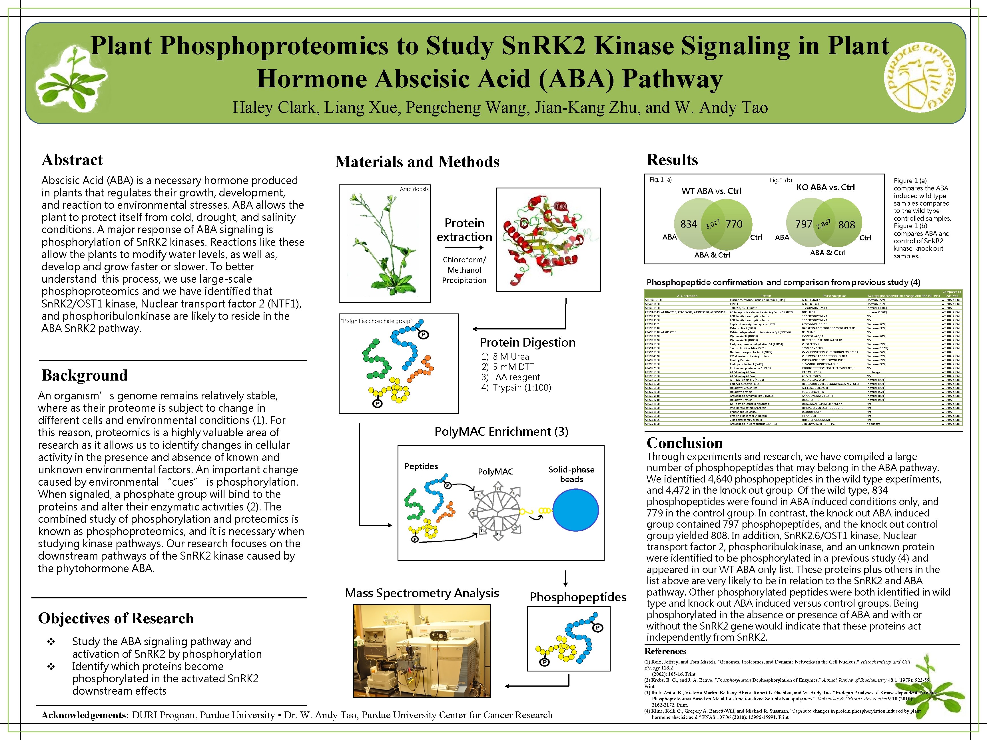 Plant Phosphoproteomics to Study Sn. RK 2 Kinase Signaling in Plant Hormone Abscisic Acid