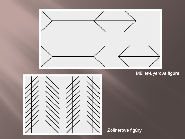 Müller-Lyerova figúra Zöllnerove figúry Müller-Lyerova figúra Zöllnerove figúry