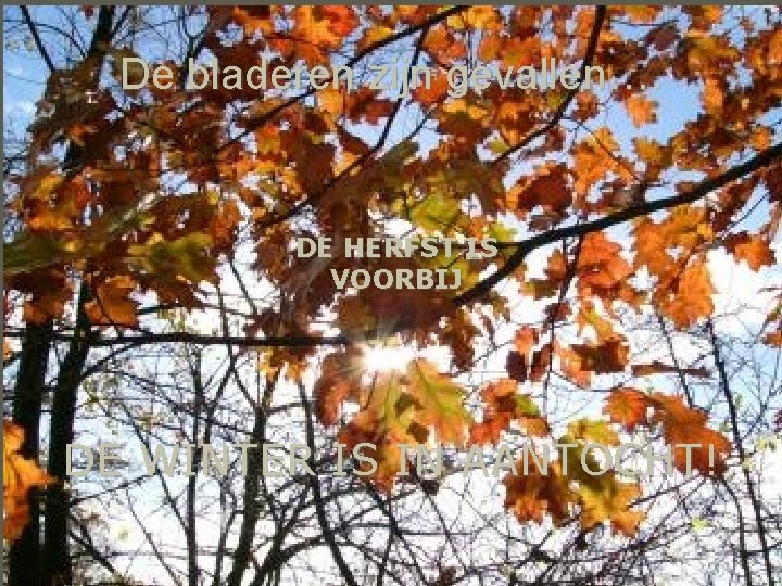De bladeren zijn gevallen…. DE HERFST IS VOORBIJ DE WINTER IS IN AANTOCHT! 