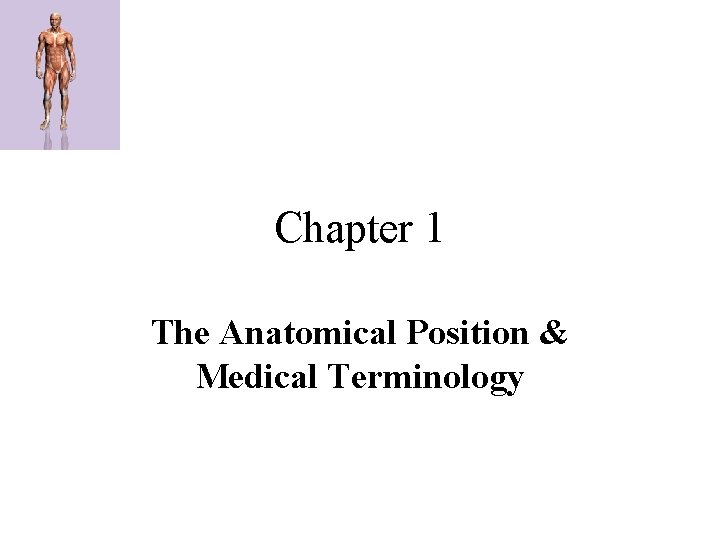 Chapter 1 The Anatomical Position & Medical Terminology 