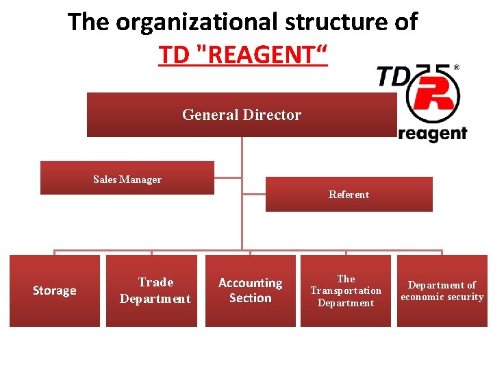 The organizational structure of TD "REAGENT“ General Director Sales Manager Referent Storage Trade Department