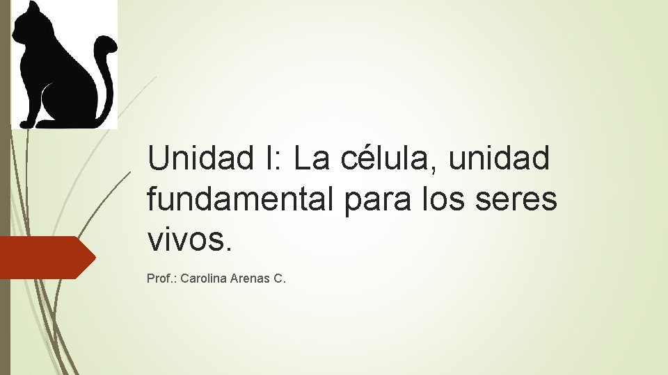 Unidad I: La célula, unidad fundamental para los seres vivos. Prof. : Carolina Arenas