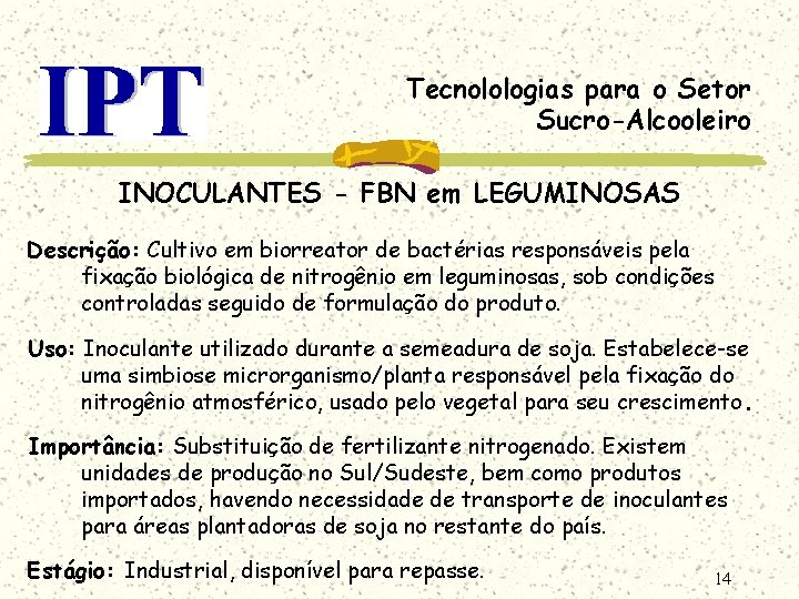 Tecnolologias para o Setor Sucro-Alcooleiro INOCULANTES - FBN em LEGUMINOSAS Descrição: Cultivo em biorreator