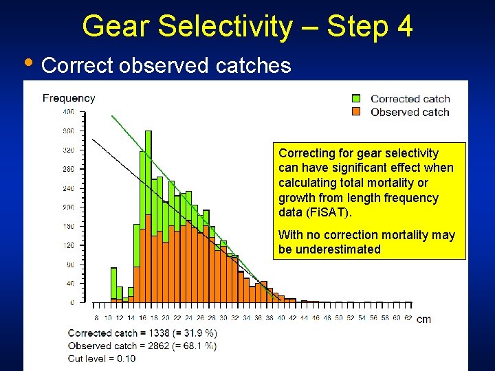 Gear Selectivity – Step 4 • Correct observed catches Correcting for gear selectivity can