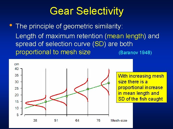 Gear Selectivity • The principle of geometric similarity: Length of maximum retention (mean length)