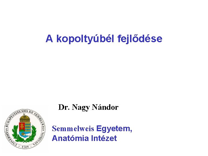 A kopoltyúbél fejlődése Dr. Nagy Nándor Semmelweis Egyetem, Anatómia Intézet 