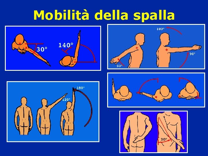 Mobilità della spalla 