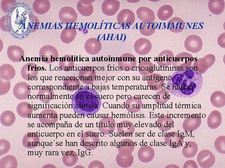 ANEMIAS HEMOLÍTICAS AUTOIMMUNES (AHAI) Anemia hemolítica autoinmune por anticuerpos fríos. Los anticuerpos fríos o