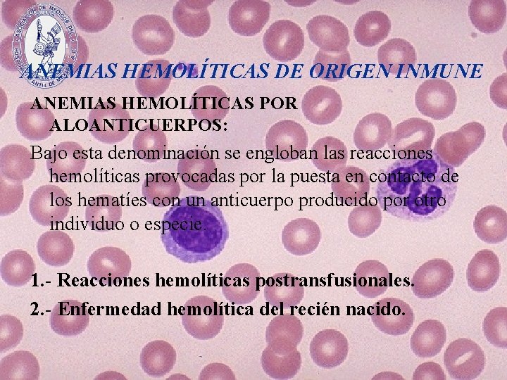 ANEMIAS HEMOLÍTICAS DE ORIGEN INMUNE ANEMIAS HEMOLÍTICAS POR ALOANTICUERPOS: Bajo esta denominación se engloban