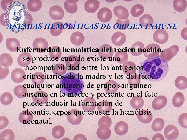 ANEMIAS HEMOLÍTICAS DE ORIGEN INMUNE Enfermedad hemolítica del recién nacido. se produce cuando existe