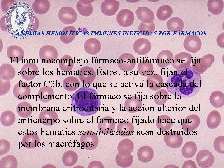 ANEMIAS HEMOLÍTICAS IMMUNES INDUCIDAS POR FÁRMACOS El inmunocomplejo fármaco-antifármaco se fija sobre los hematíes.