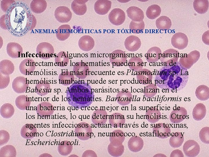 ANEMIAS HEMOLÍTICAS POR TÓXICOS DIRECTOS Infecciones. Algunos microrganismos que parasitan directamente los hematíes pueden