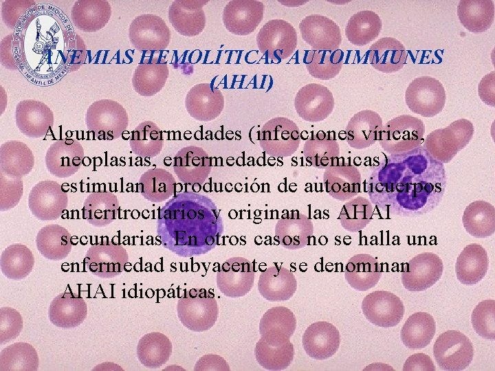 ANEMIAS HEMOLÍTICAS AUTOIMMUNES (AHAI) Algunas enfermedades (infecciones víricas, neoplasias, enfermedades sistémicas) estimulan la producción
