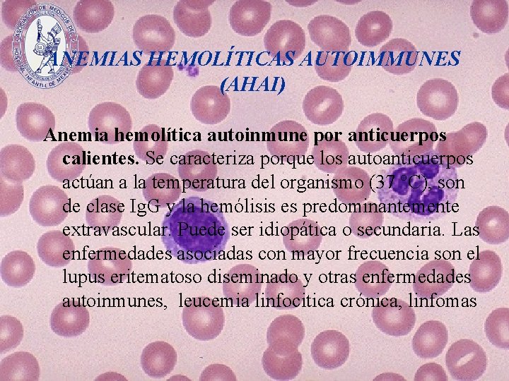 ANEMIAS HEMOLÍTICAS AUTOIMMUNES (AHAI) Anemia hemolítica autoinmune por anticuerpos calientes. Se caracteriza porque los
