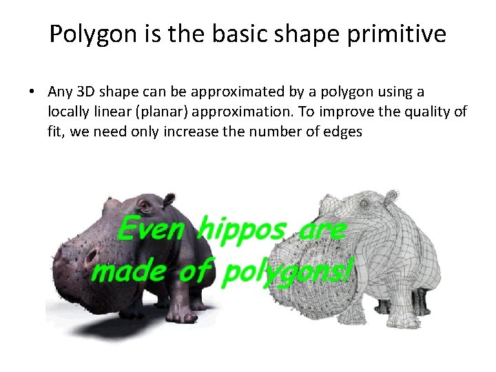 Polygon is the basic shape primitive • Any 3 D shape can be approximated