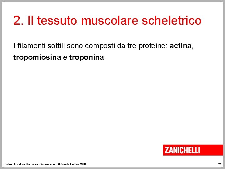 2. Il tessuto muscolare scheletrico I filamenti sottili sono composti da tre proteine: actina,