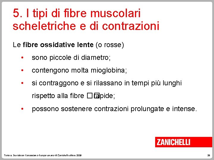 5. I tipi di fibre muscolari scheletriche e di contrazioni Le fibre ossidative lente