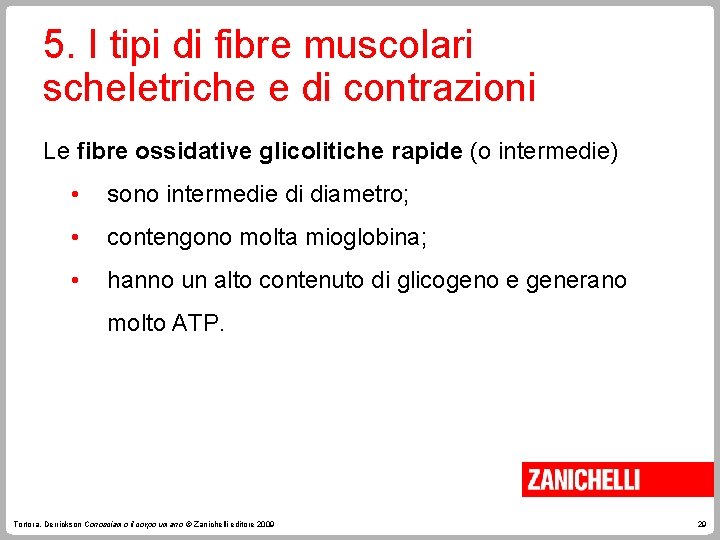 5. I tipi di fibre muscolari scheletriche e di contrazioni Le fibre ossidative glicolitiche